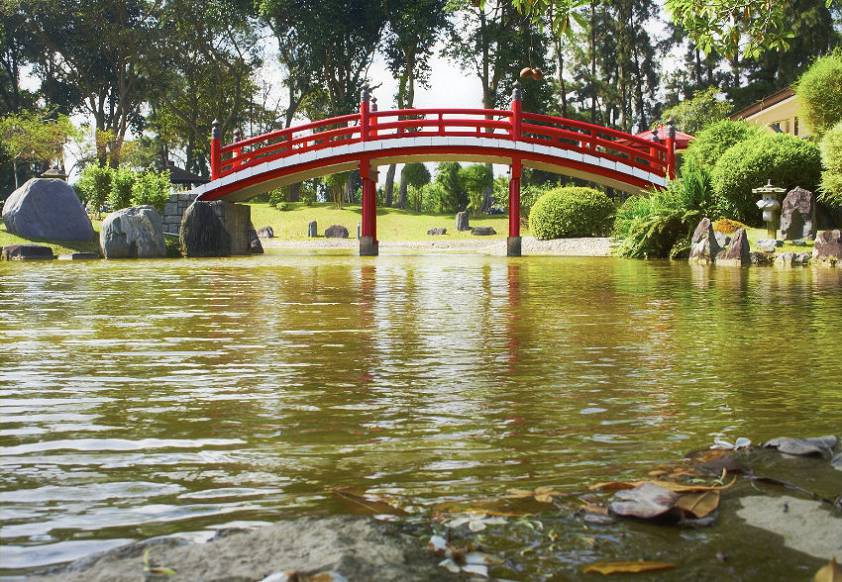 Японский сад Японский сад